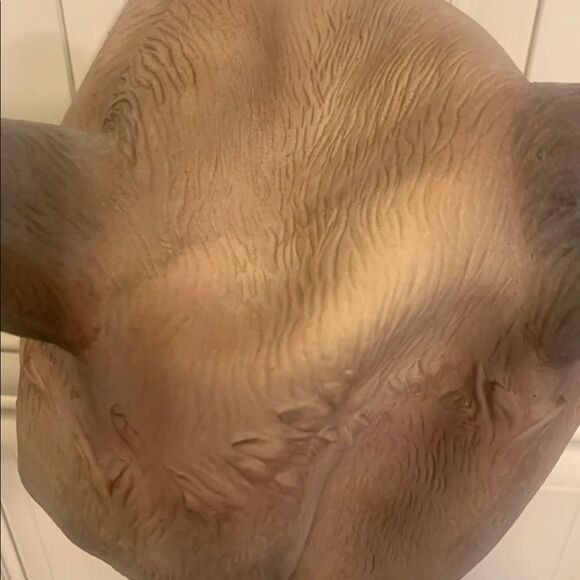 Cattitude mask Angry Cat Grumpy face - Picture 7 of 7